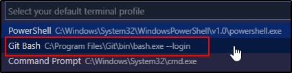 Git Bash Terminal